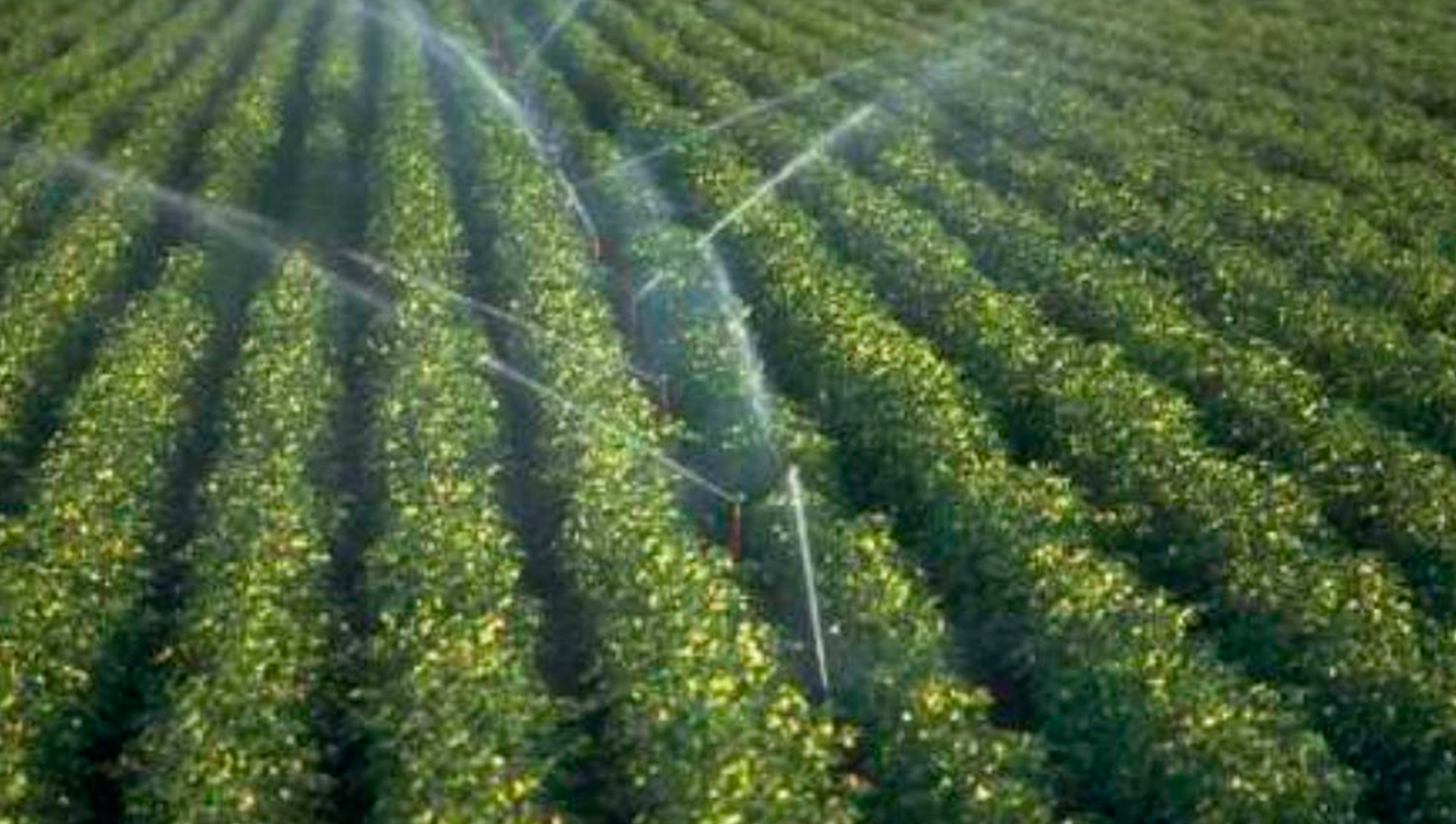 Brasil e União Europeia vão desenvolver irrigador inteligente que promete evitar desperdício